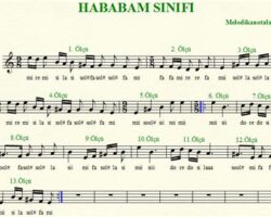 hababam sınıfı melodika notaları