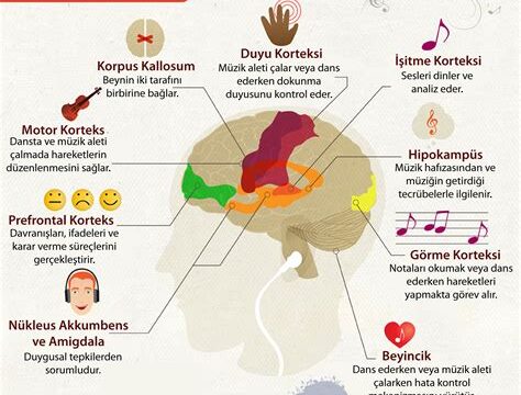 Duygusal Müziklerin Beyin Üzerindeki Etkisi